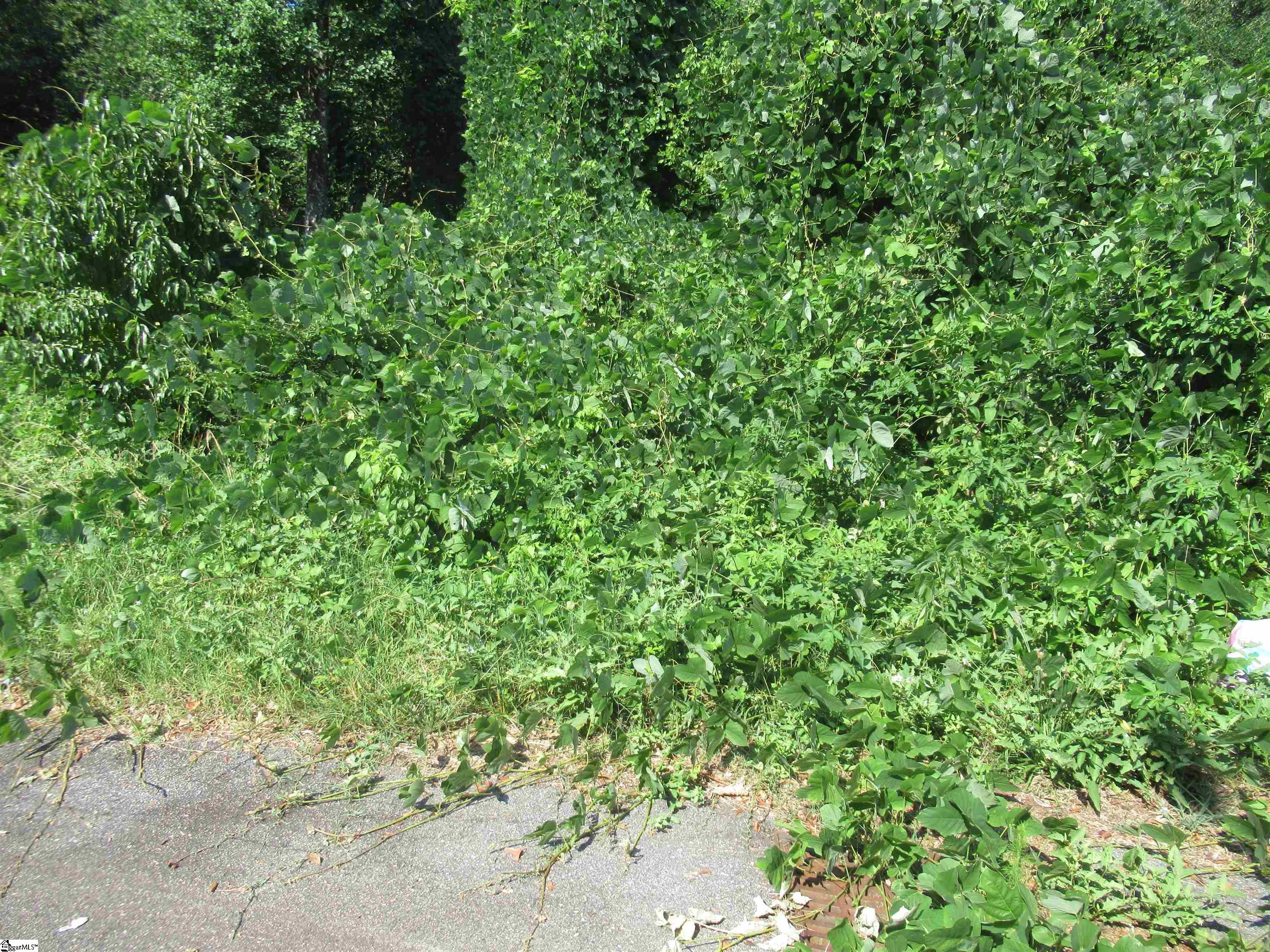 0 Old Schoolhouse Road Liberty, SC 29657 - Photo 2 of 3