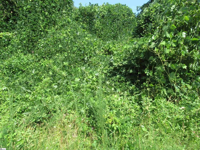 $53,000 | 0 Old Schoolhouse Road, Liberty, SC 29657