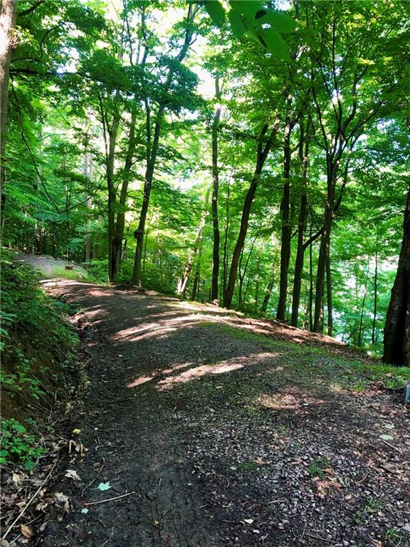 453 Lake Shore Road Addison, PA 15411 - Photo 10 of 24