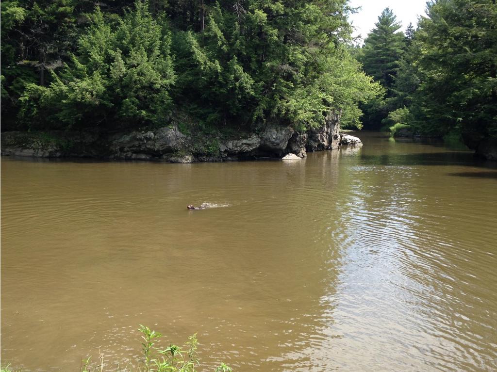 6013 River Road Troy, VT 05859 - Photo 12 of 18