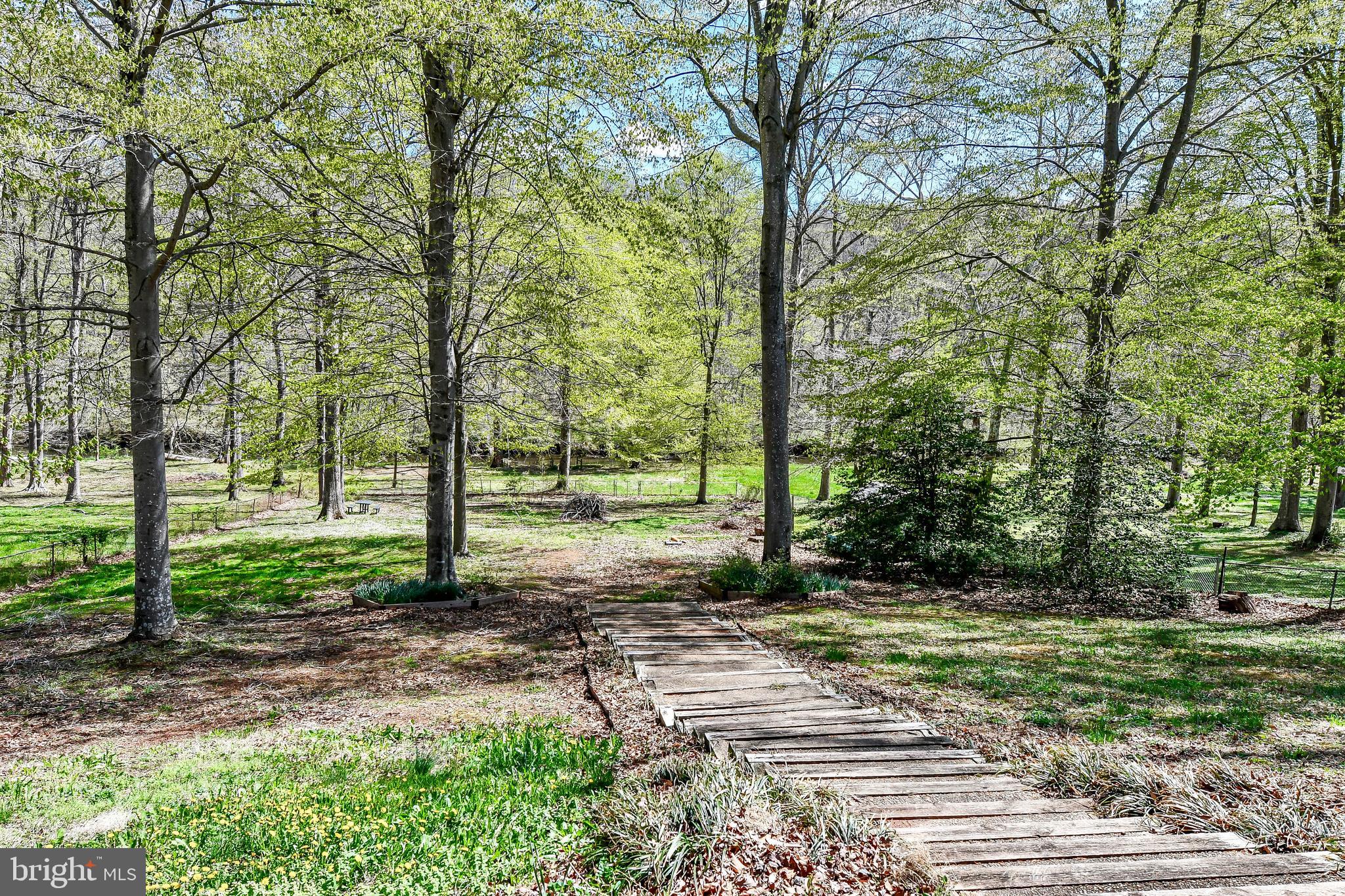 7809 Lake Drive Manassas, VA 20111 - Photo 20 of 44 a view of a yard with plants and trees