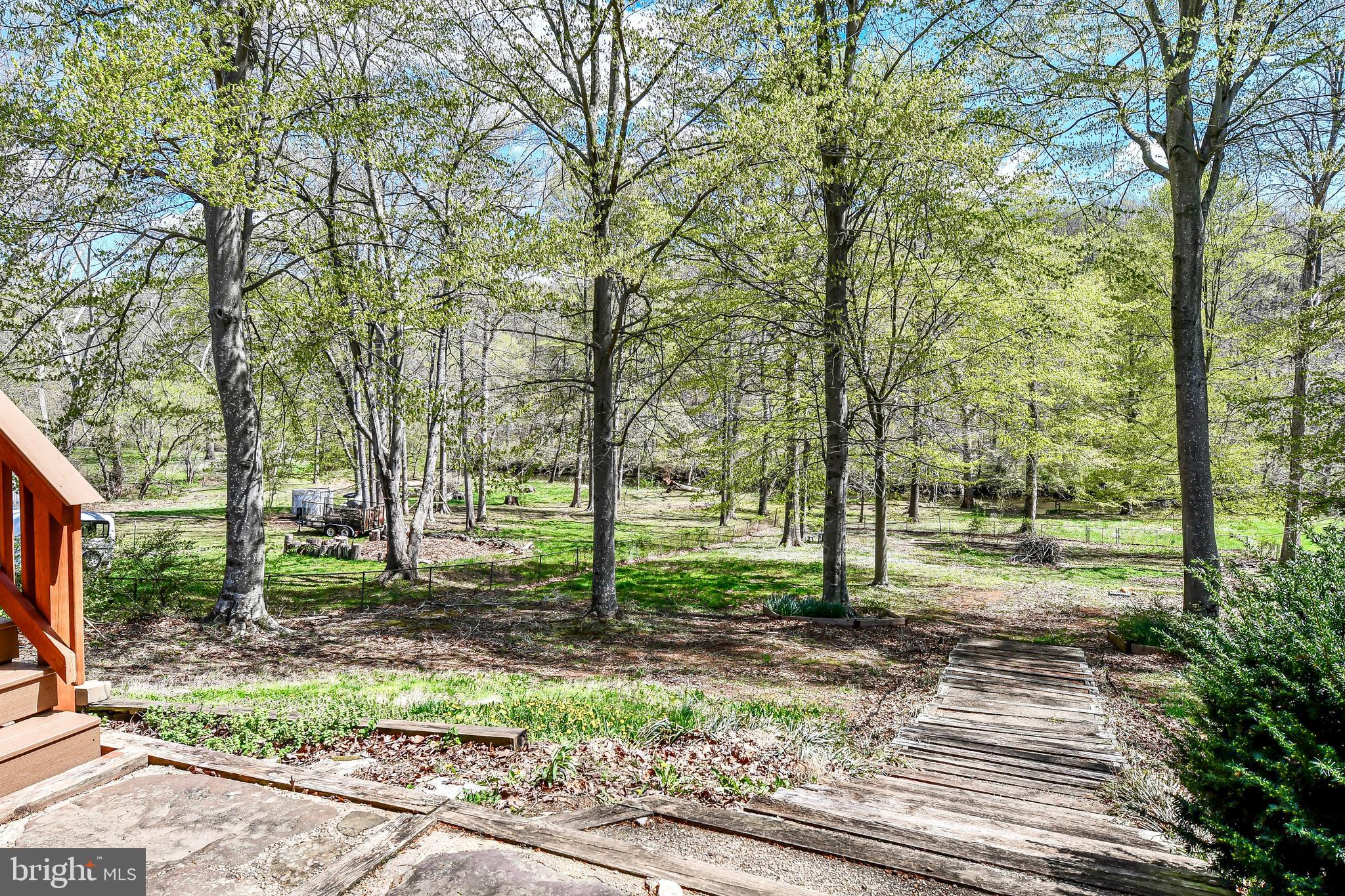 7809 Lake Drive Manassas, VA 20111 - Photo 22 of 44 a view of a park with a tree