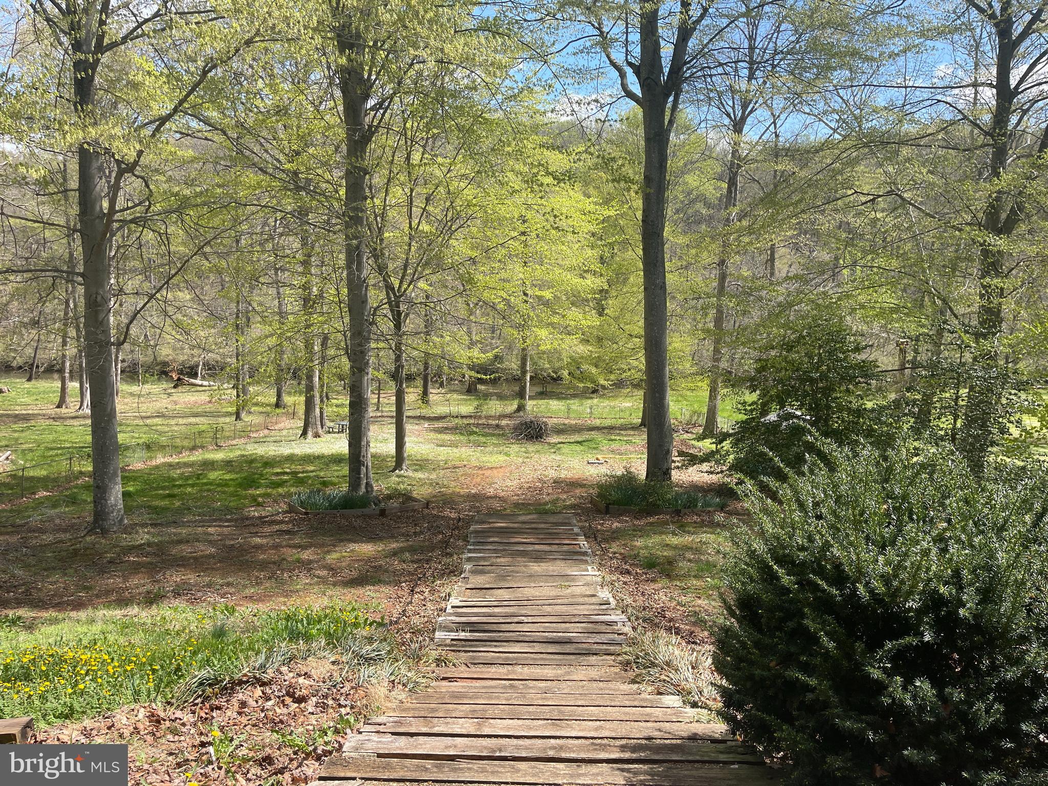 7809 Lake Drive Manassas, VA 20111 - Photo 24 of 44 a view of a yard with plants and trees