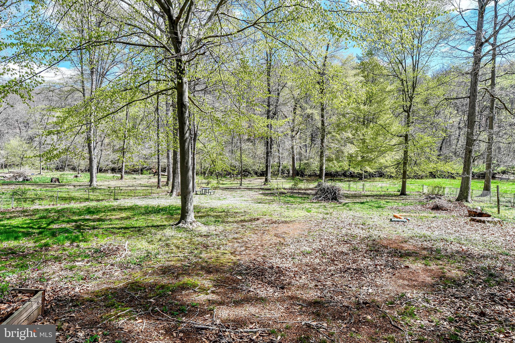 7809 Lake Drive Manassas, VA 20111 - Photo 25 of 44 a view of a park with tree s