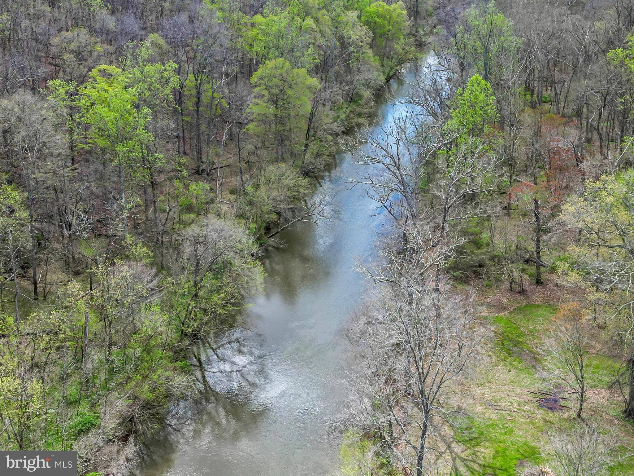 7809 Lake Drive Manassas, VA 20111 - Photo 3 of 44 a view of a yard with plants and trees