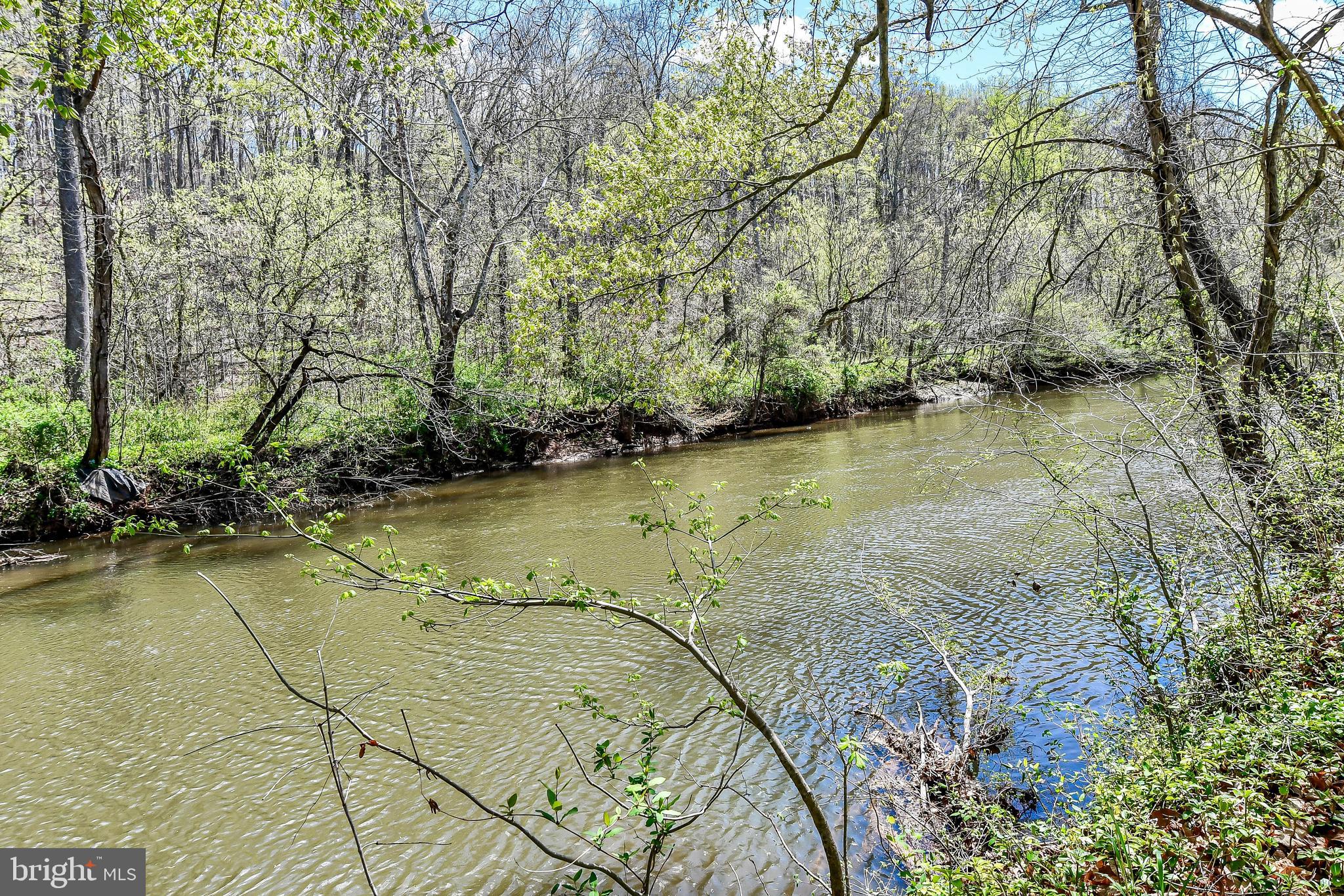 7809 Lake Drive Manassas, VA 20111 - Photo 4 of 44 a view of a swimming pool with a yard