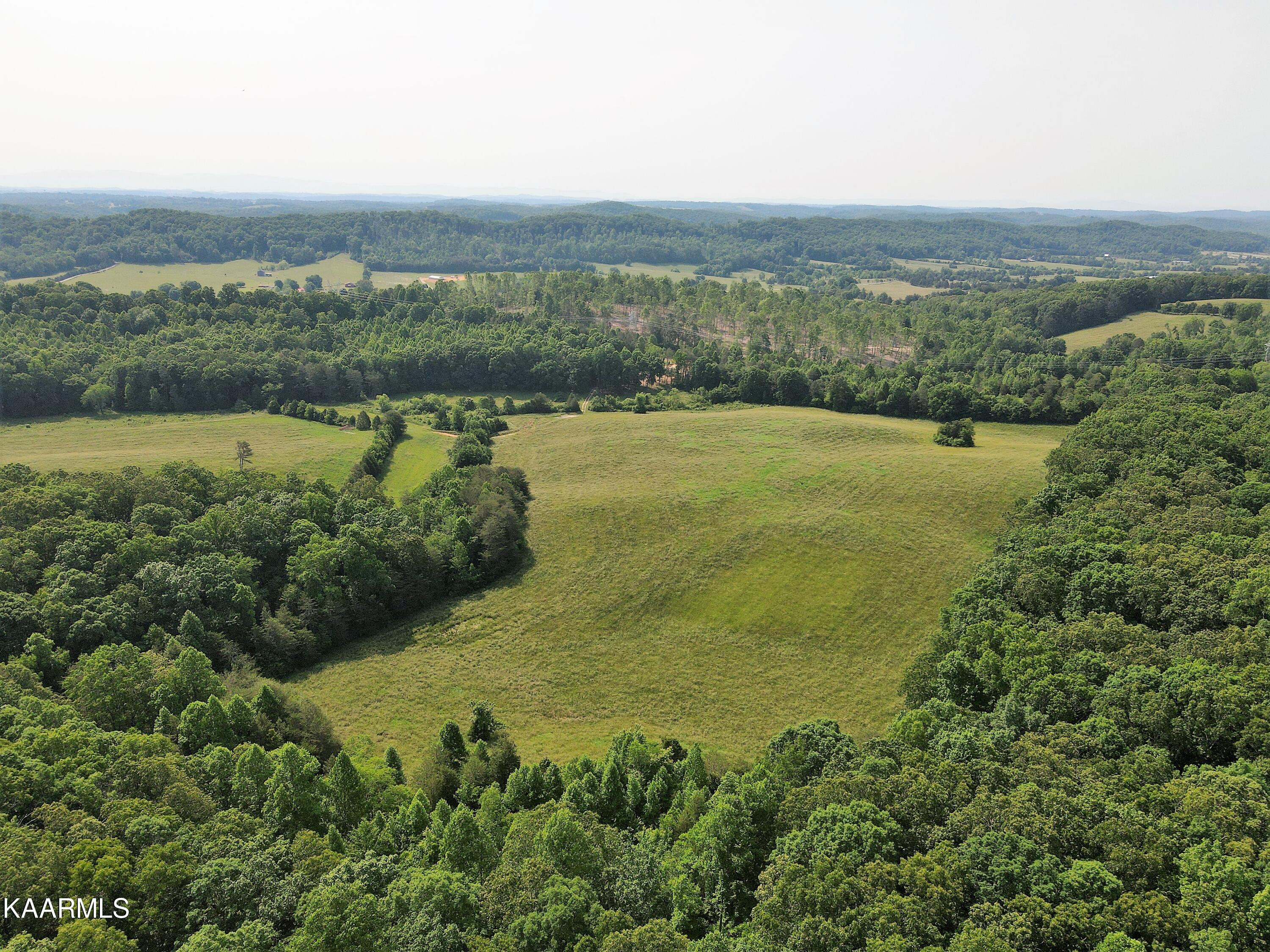 313 Hughes Hollow Road Philadelphia, TN 37846 - Photo 12 of 60 Summer Aerial Field 4