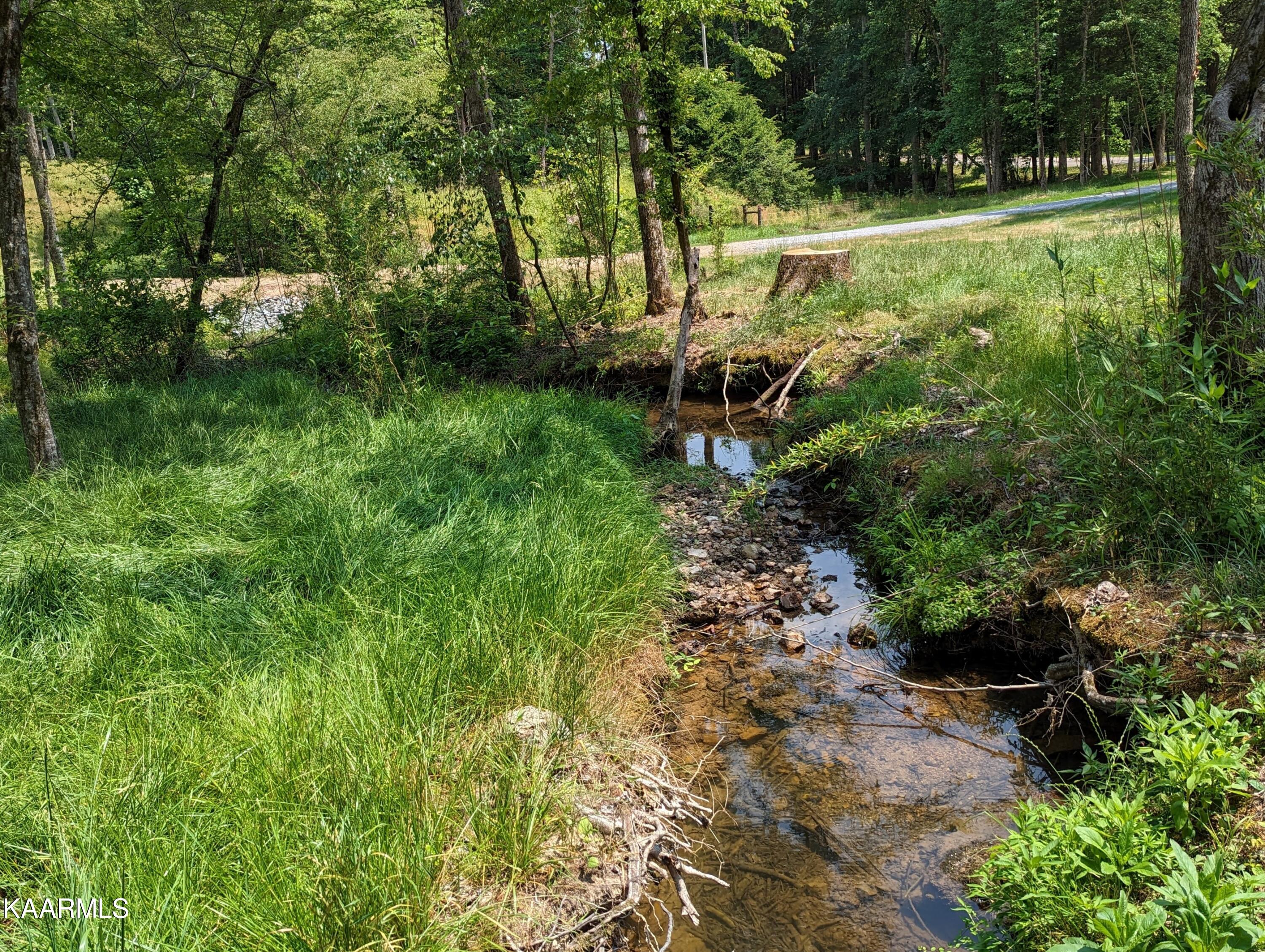 313 Hughes Hollow Road Philadelphia, TN 37846 - Photo 15 of 60 Creek 2