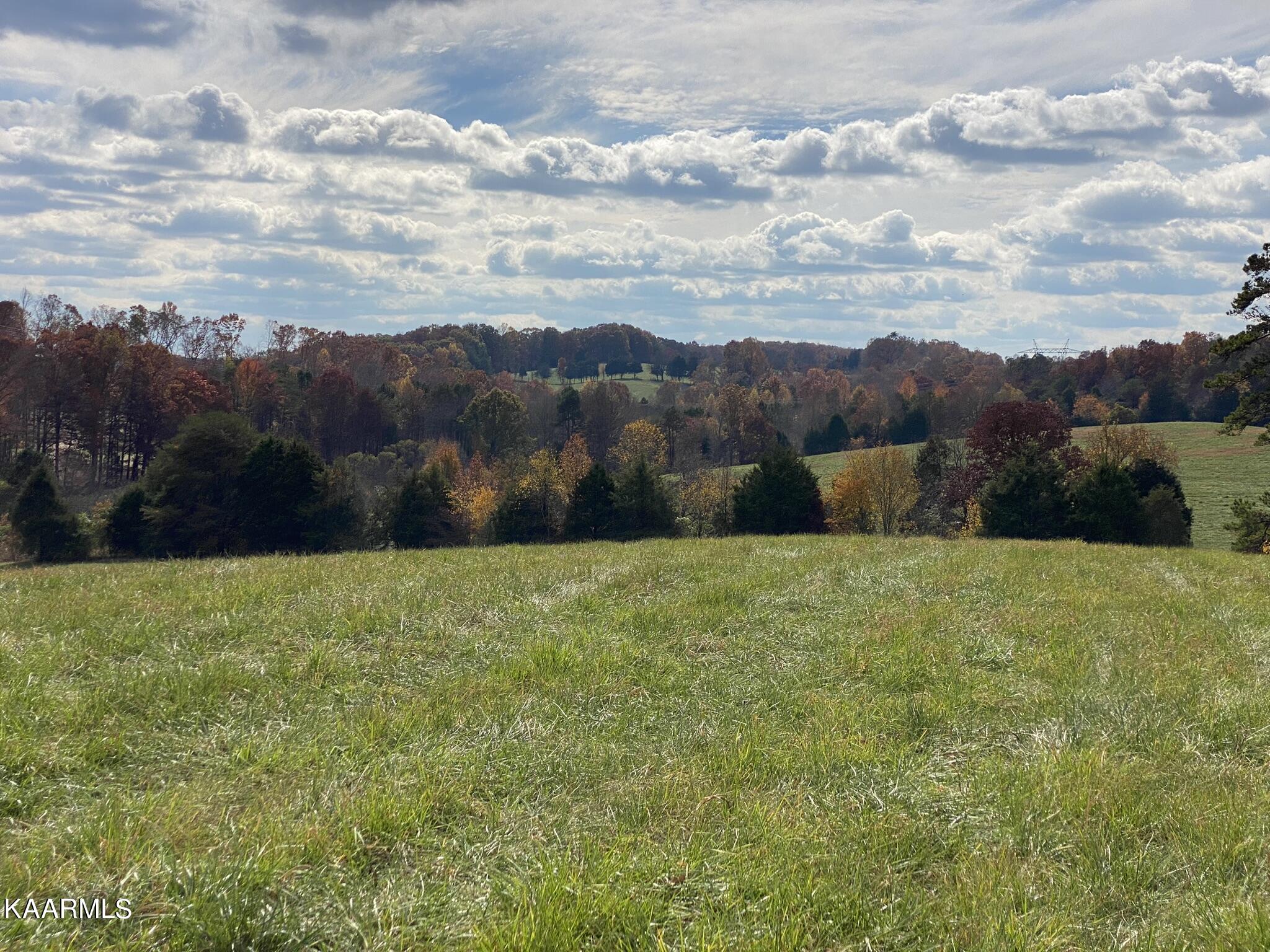 313 Hughes Hollow Road Philadelphia, TN 37846 - Photo 18 of 60 Fall 2