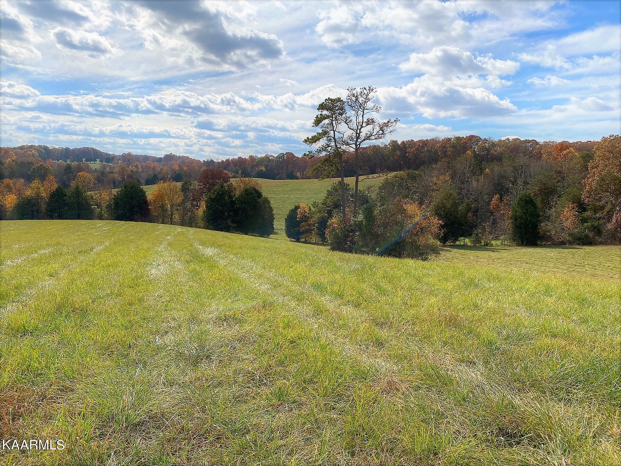 313 Hughes Hollow Road Philadelphia, TN 37846 - Photo 21 of 60 Fall 5