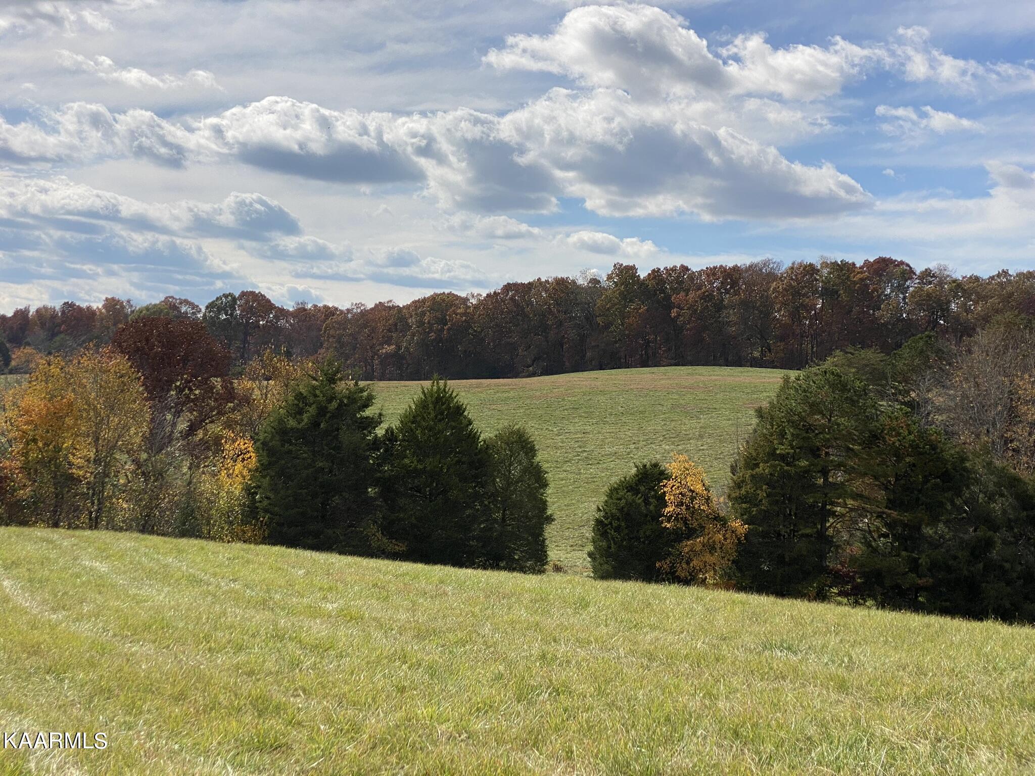313 Hughes Hollow Road Philadelphia, TN 37846 - Photo 24 of 60 Fall 8