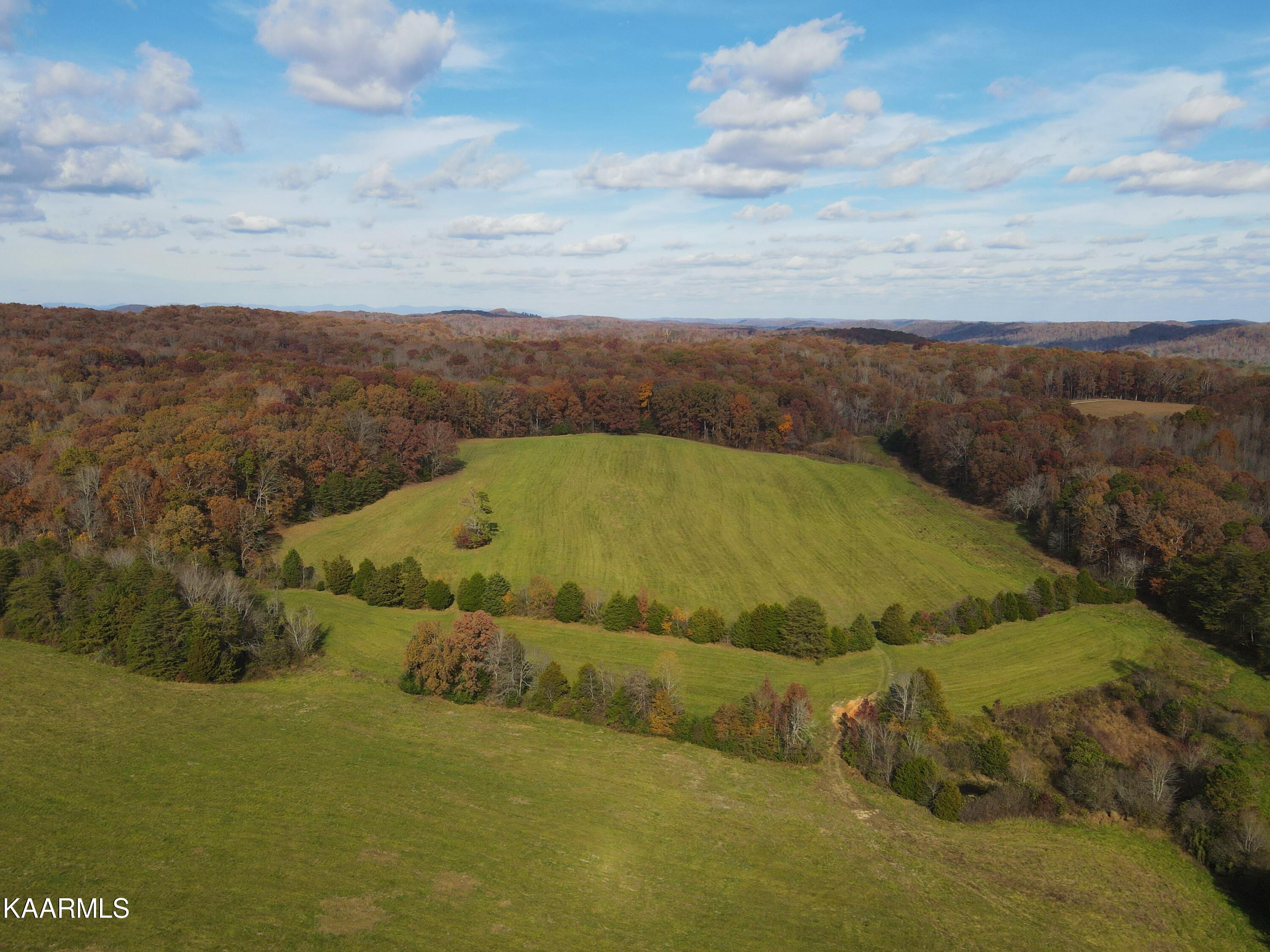 313 Hughes Hollow Road Philadelphia, TN 37846 - Photo 32 of 60 Fall Aerial 1