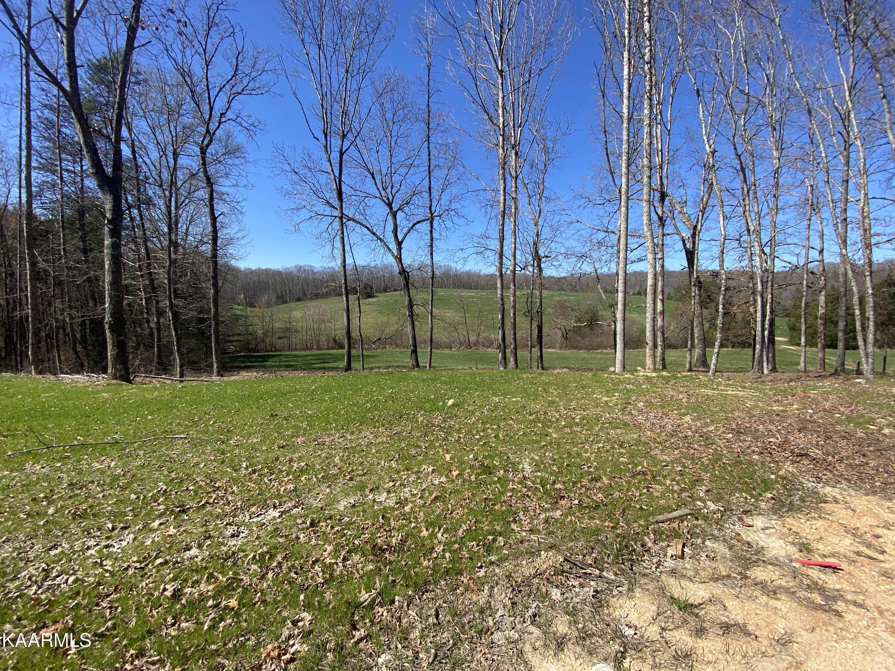 313 Hughes Hollow Road Philadelphia, TN 37846 - Photo 50 of 60 Winter 1