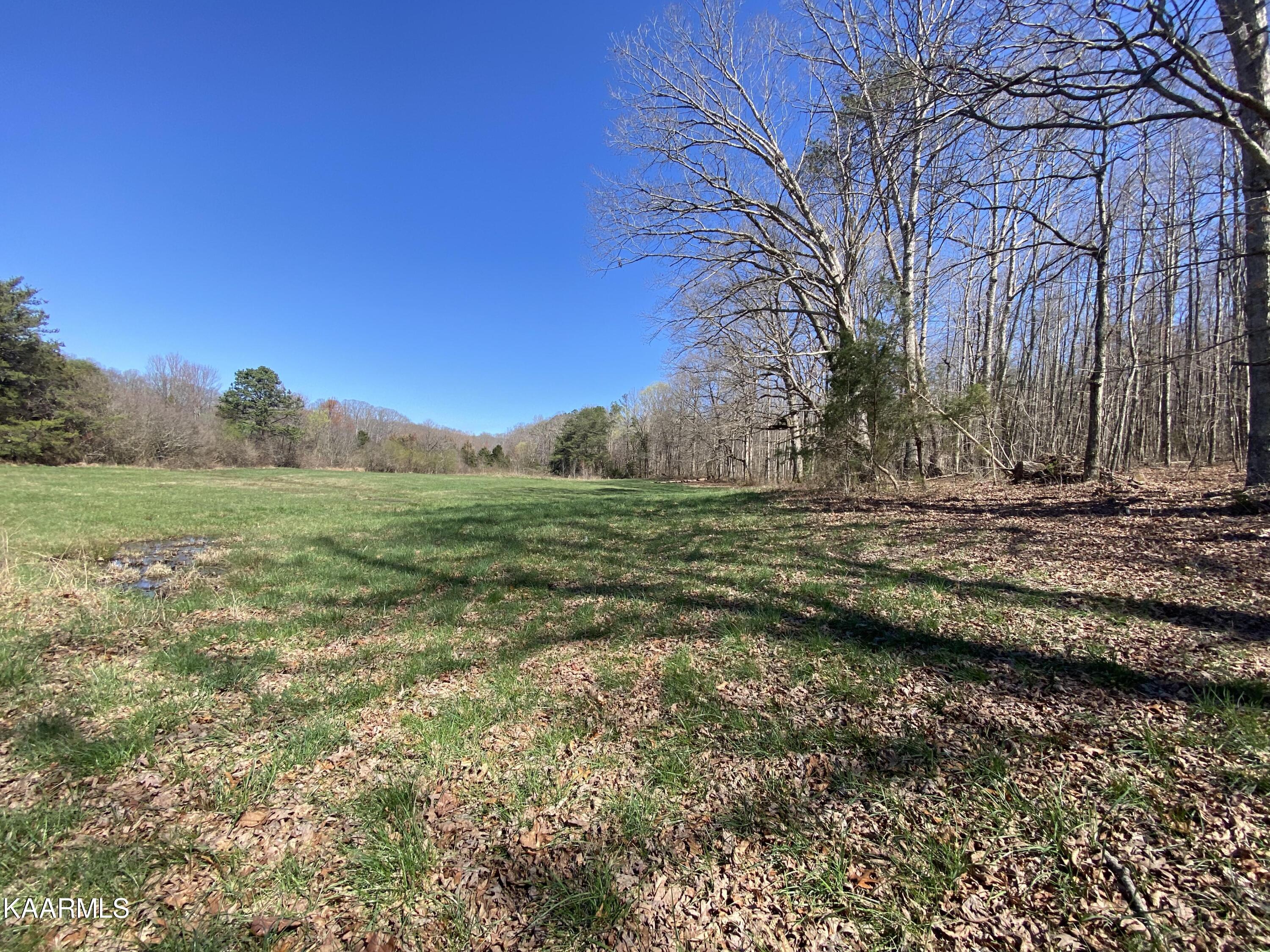 313 Hughes Hollow Road Philadelphia, TN 37846 - Photo 51 of 60 Winter 2