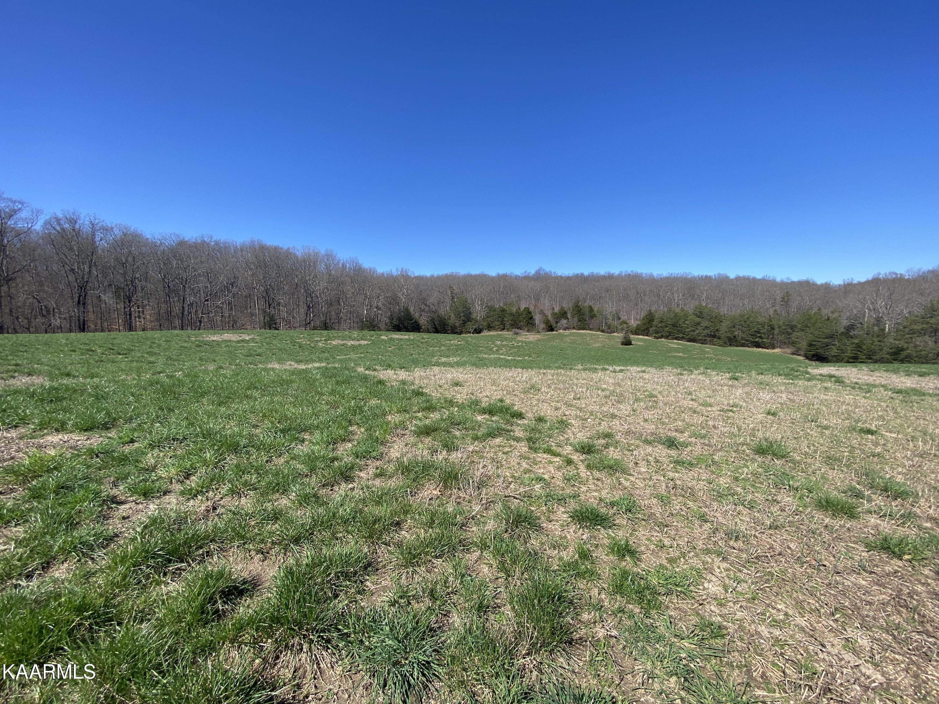 313 Hughes Hollow Road Philadelphia, TN 37846 - Photo 53 of 60 Winter 4