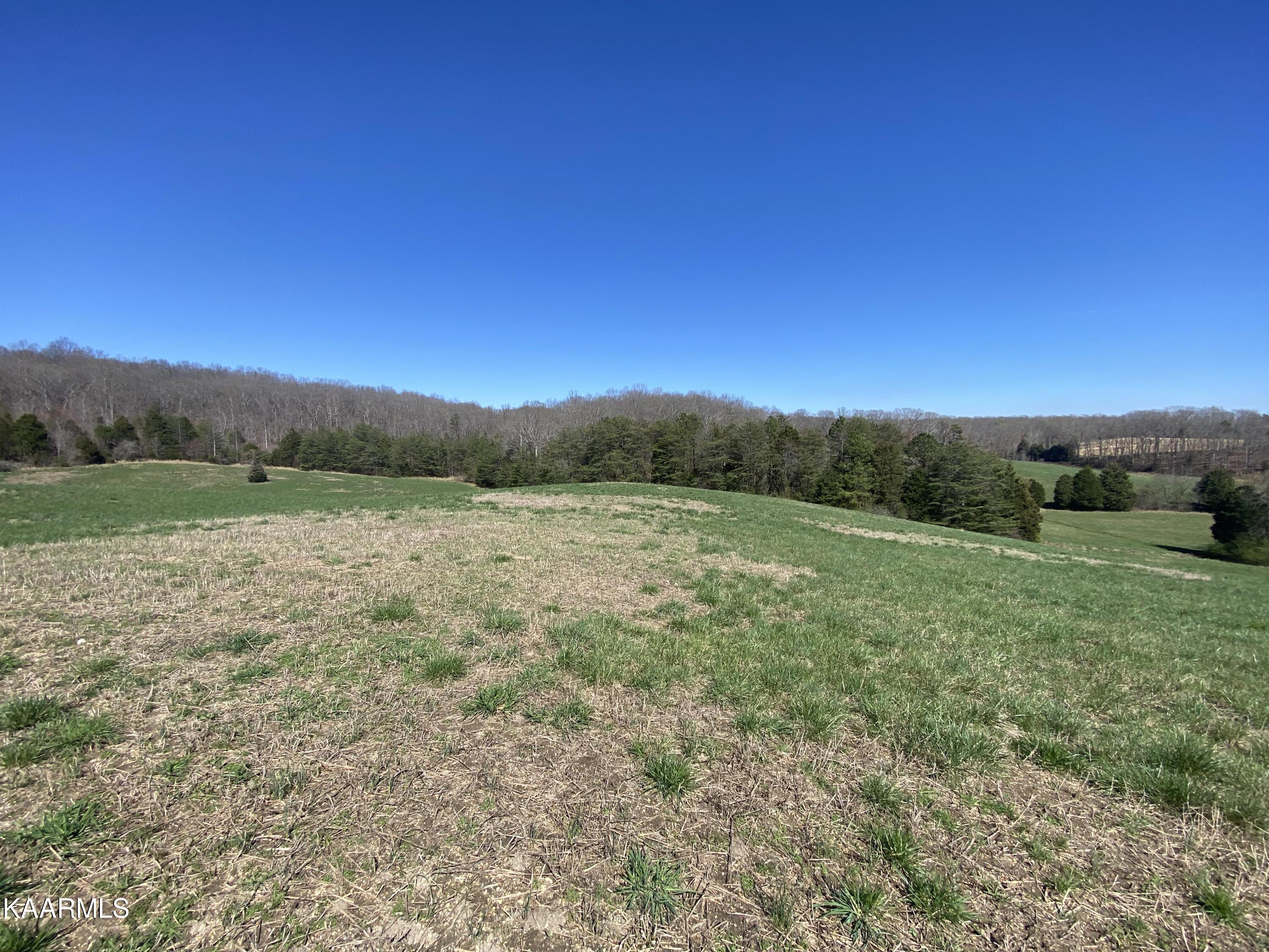 313 Hughes Hollow Road Philadelphia, TN 37846 - Photo 54 of 60 Winter 5
