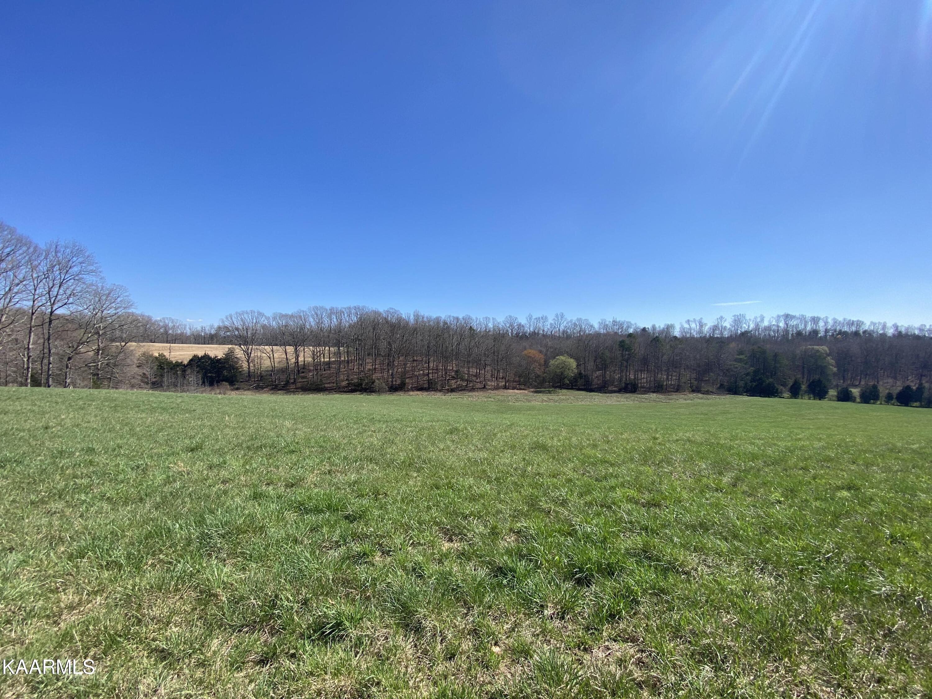 313 Hughes Hollow Road Philadelphia, TN 37846 - Photo 59 of 60 Winter 10