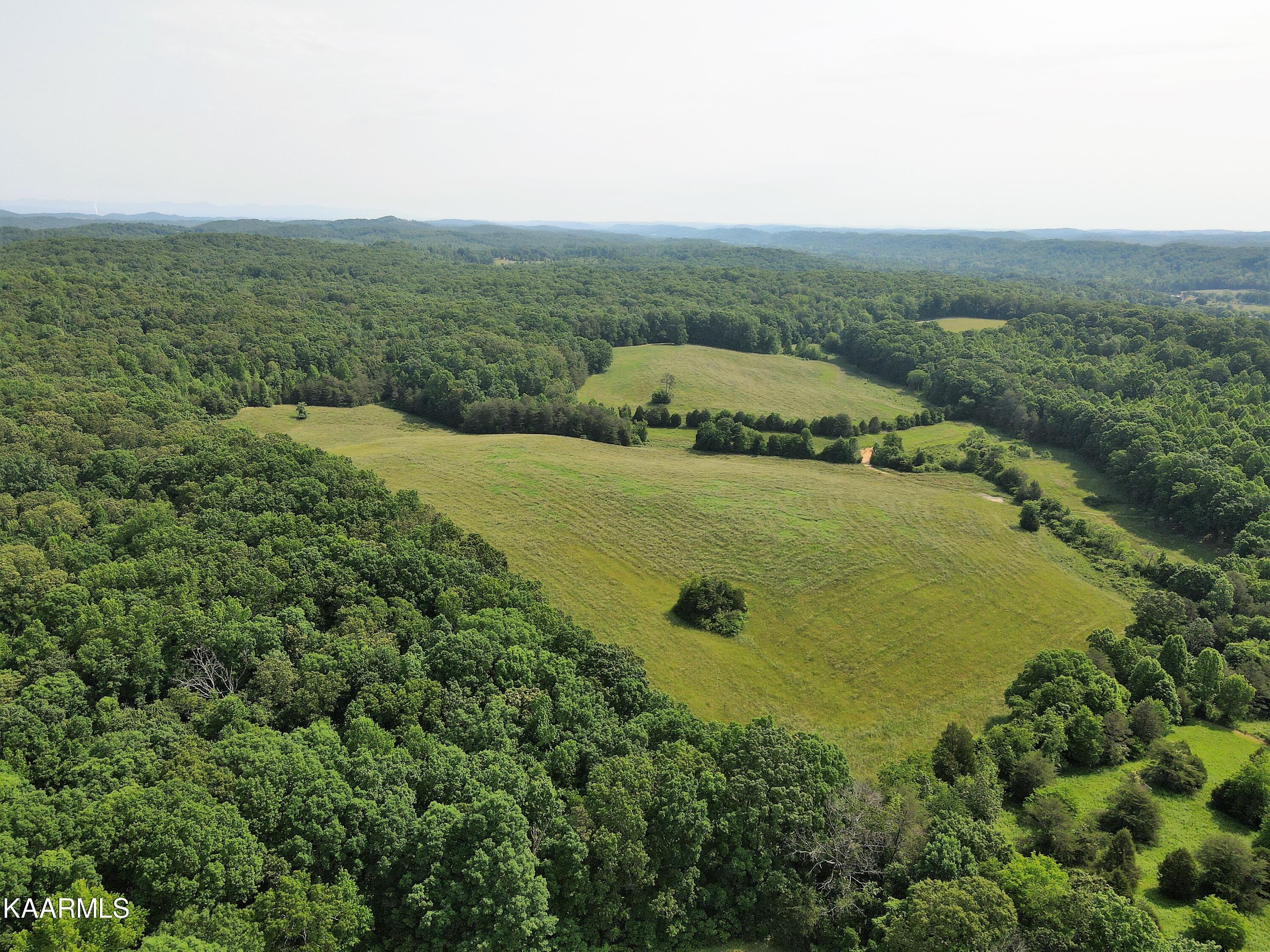 313 Hughes Hollow Road Philadelphia, TN 37846 - Photo 9 of 60 Summer Aerial Field 2