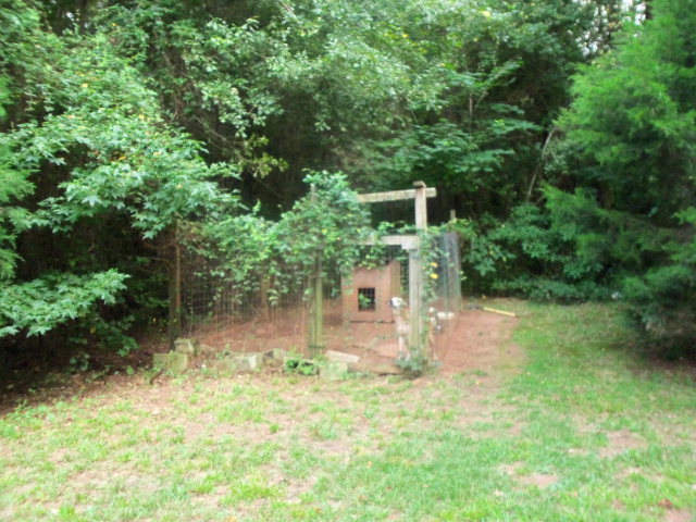 582 Comer Road Gray, GA 31032 - Photo 3 of 6 a backyard of a house with lots of green space