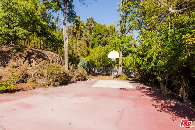 a view of a yard with plants and trees