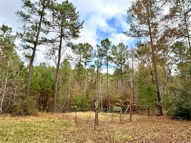 $595,000 | 235 Private Road 6912, Colmesneil, TX 75938