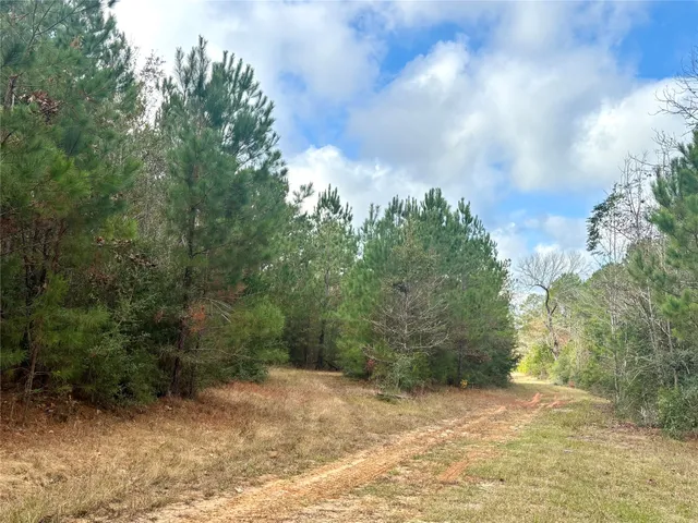 $595,000 | 235 Private Road 6912, Colmesneil, TX 75938