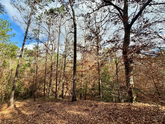 $595,000 | 235 Private Road 6912, Colmesneil, TX 75938