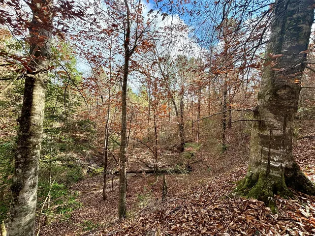 $595,000 | 235 Private Road 6912, Colmesneil, TX 75938