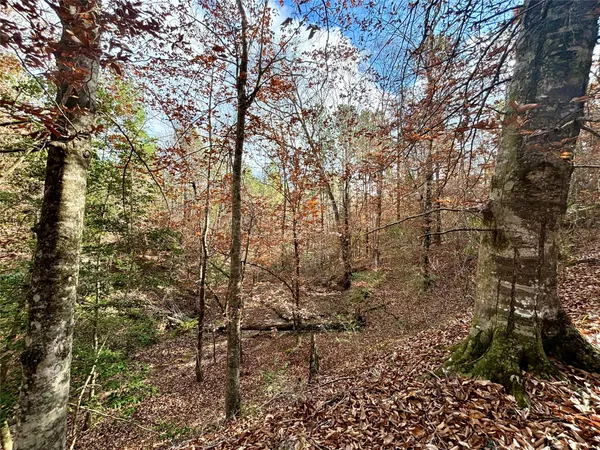 a view of a yard with plants and wooden fence