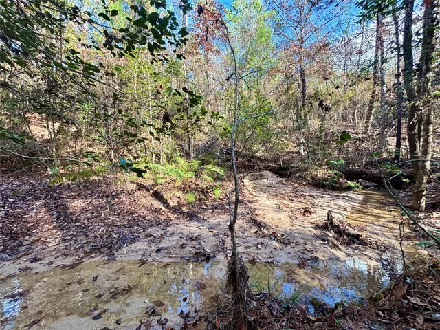 $595,000 | 235 Private Road 6912, Colmesneil, TX 75938