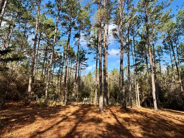 $595,000 | 235 Private Road 6912, Colmesneil, TX 75938