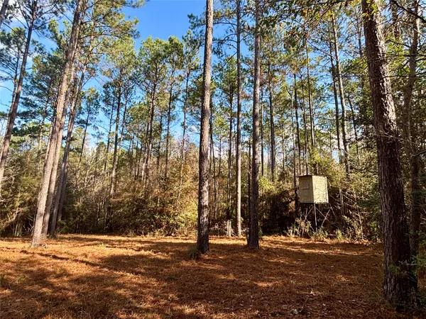 $560,000 | 235 Private Road 6912, Colmesneil, TX 75938