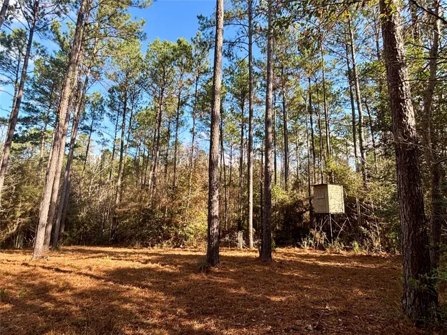 $595,000 | 235 Private Road 6912, Colmesneil, TX 75938