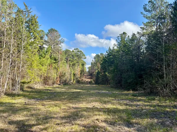 $560,000 | 235 Private Road 6912, Colmesneil, TX 75938