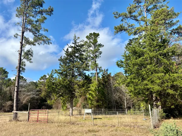 $560,000 | 235 Private Road 6912, Colmesneil, TX 75938