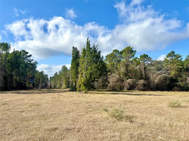 $595,000 | 235 Private Road 6912, Colmesneil, TX 75938