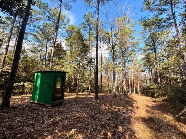 $560,000 | 235 Private Road 6912, Colmesneil, TX 75938