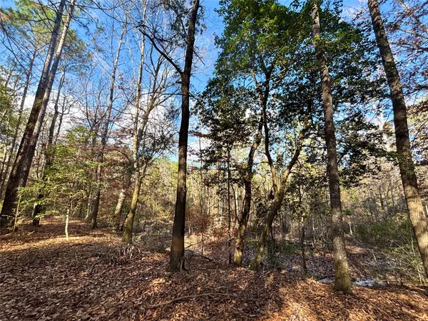 $560,000 | 235 Private Road 6912, Colmesneil, TX 75938