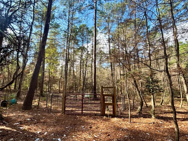 $595,000 | 235 Private Road 6912, Colmesneil, TX 75938