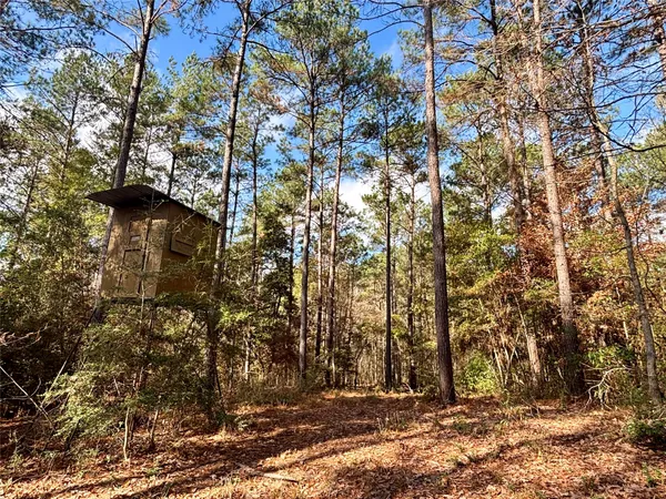 $560,000 | 235 Private Road 6912, Colmesneil, TX 75938