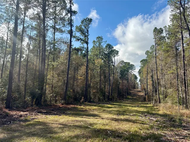 $595,000 | 235 Private Road 6912, Colmesneil, TX 75938