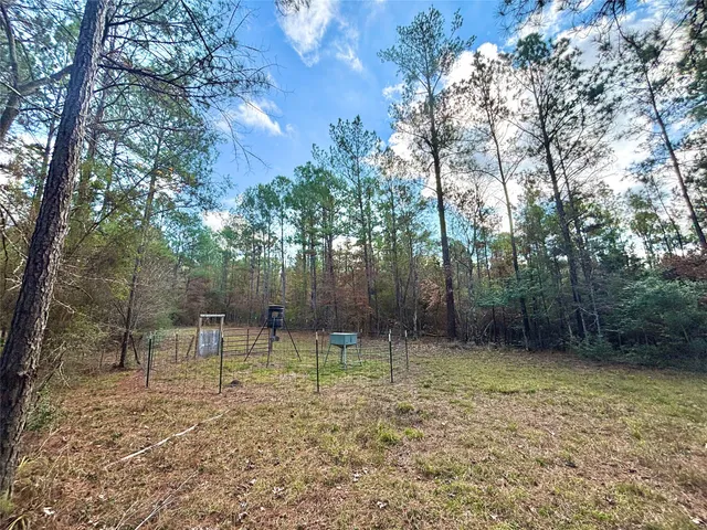 $595,000 | 235 Private Road 6912, Colmesneil, TX 75938