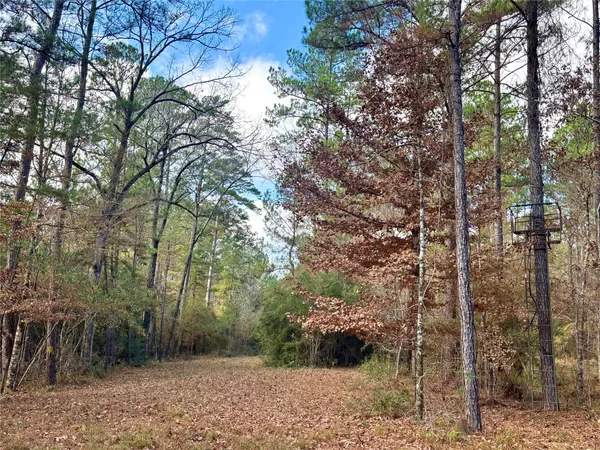 $560,000 | 235 Private Road 6912, Colmesneil, TX 75938