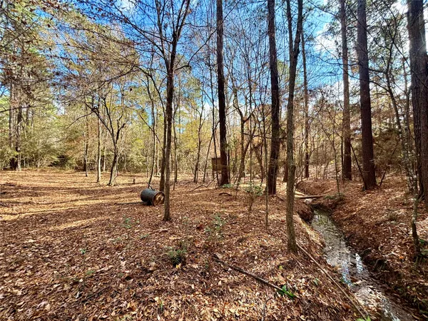 $560,000 | 235 Private Road 6912, Colmesneil, TX 75938