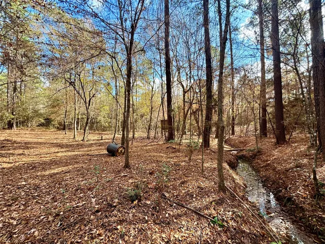 $595,000 | 235 Private Road 6912, Colmesneil, TX 75938