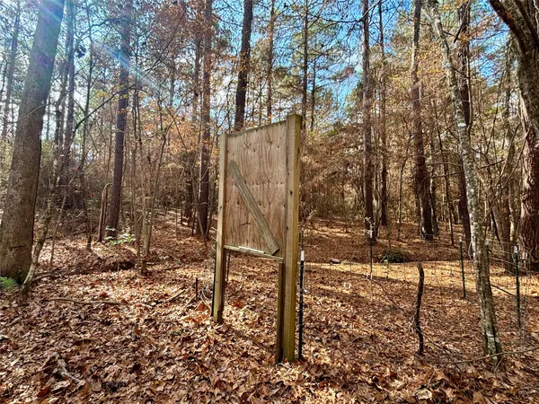 $560,000 | 235 Private Road 6912, Colmesneil, TX 75938