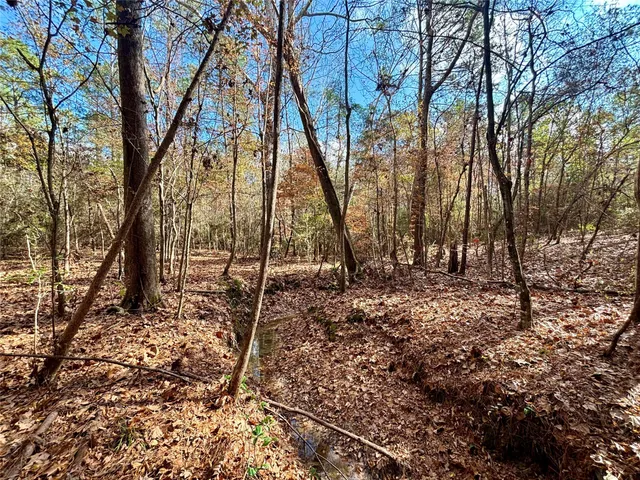 $595,000 | 235 Private Road 6912, Colmesneil, TX 75938