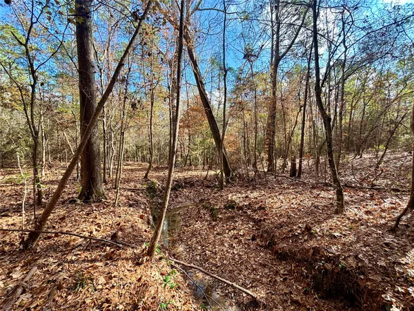 $560,000 | 235 Private Road 6912, Colmesneil, TX 75938