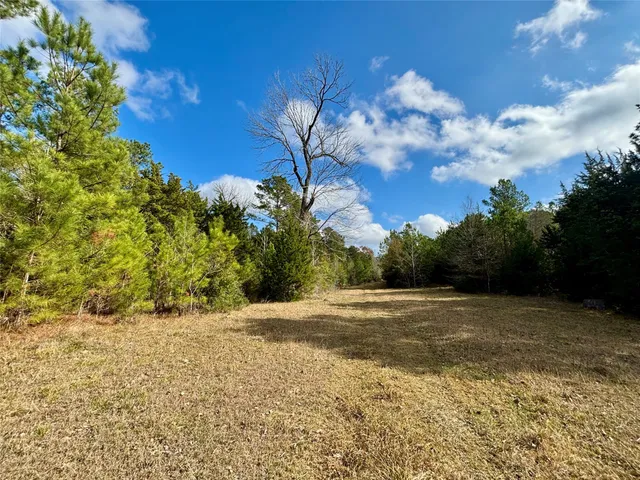 $595,000 | 235 Private Road 6912, Colmesneil, TX 75938