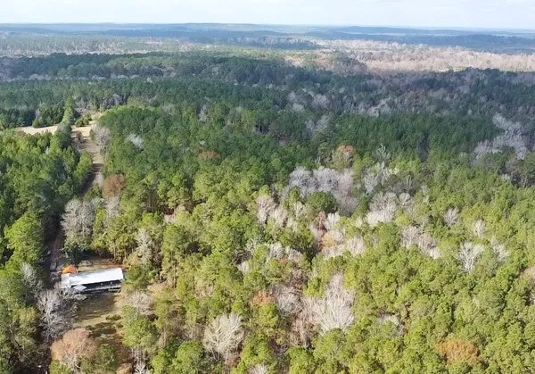 $560,000 | 235 Private Road 6912, Colmesneil, TX 75938